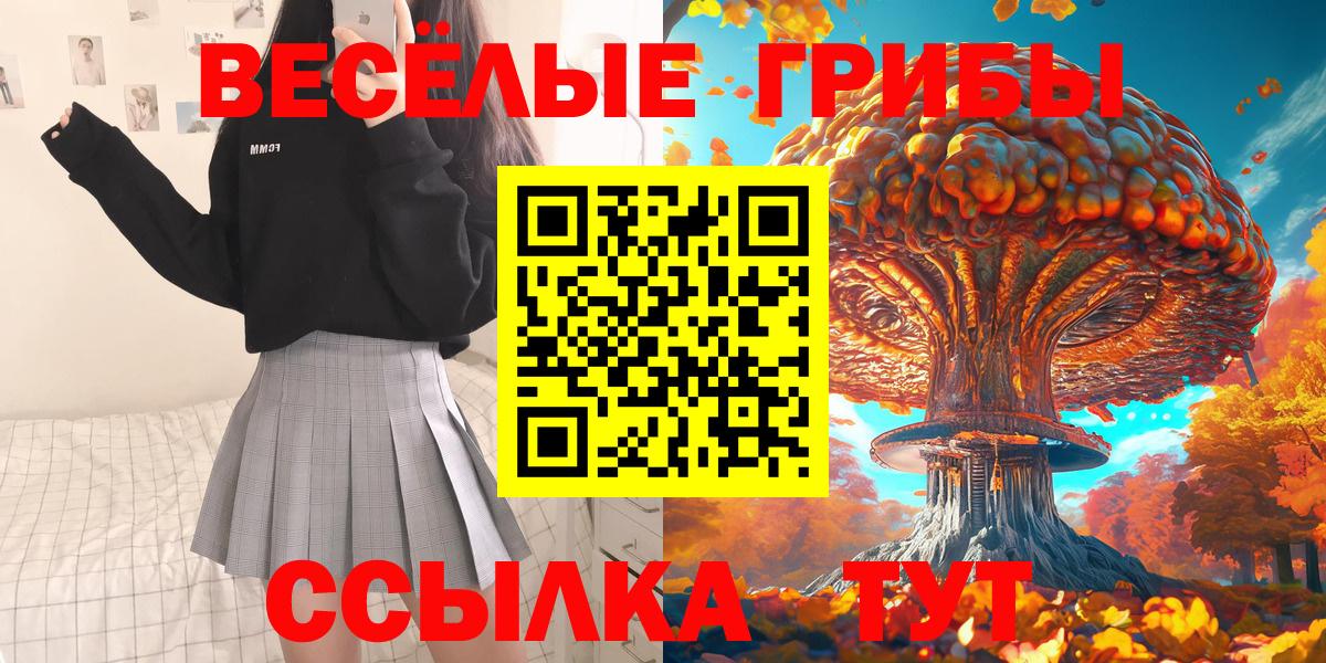 Галлюциногенные грибы Cubensis  Вход с VPN  Звенигород 