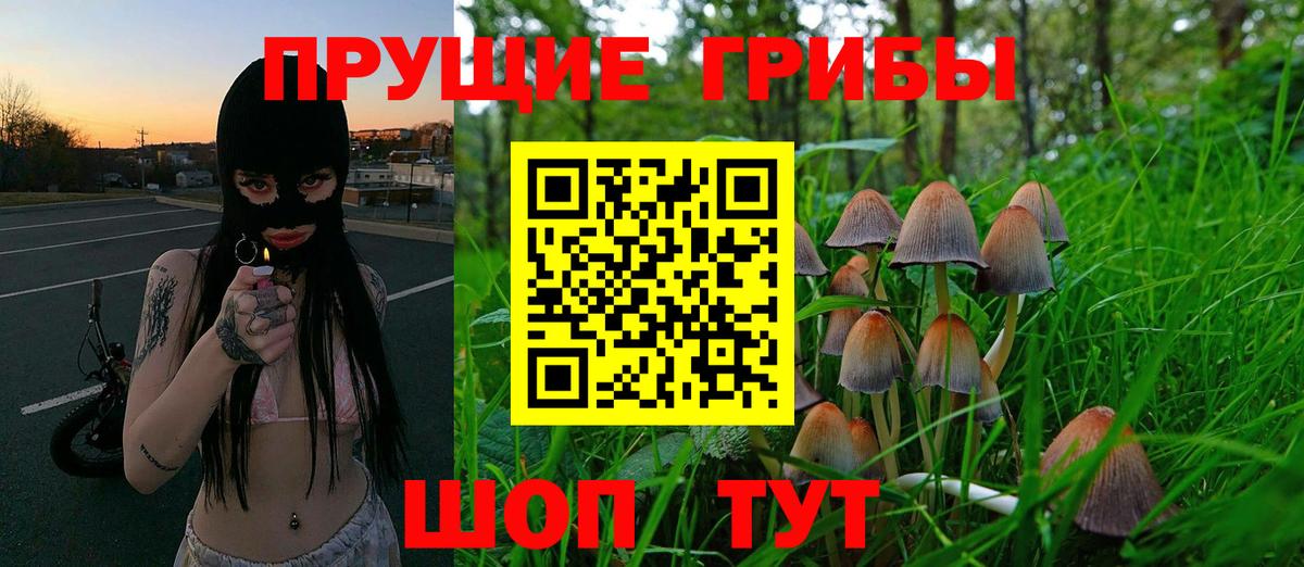 Гашиш Звенигород