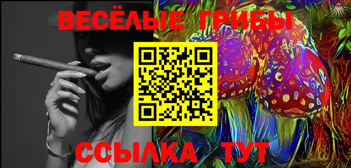 Псилоцибиновые грибы мухоморы Звенигород
